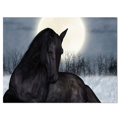 Designart - Black Horse in Moonlight - Animal Canvas Art Print