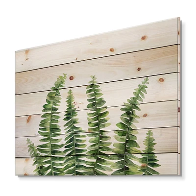 Designart - Fern Leaves Detail II - Farmhouse Print on Natural Pine Wood