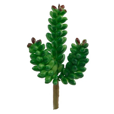 Flora Bunda® Donkey Tail Succulent Pick, 12ct.