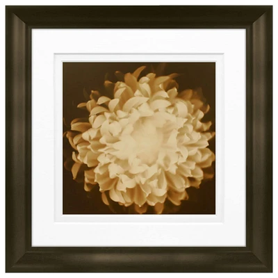 Timeless Frames® Chrysanthemum Framed Print Wall Art
