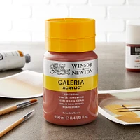 Winsor & Newton® Galeria Acrylic® Paint