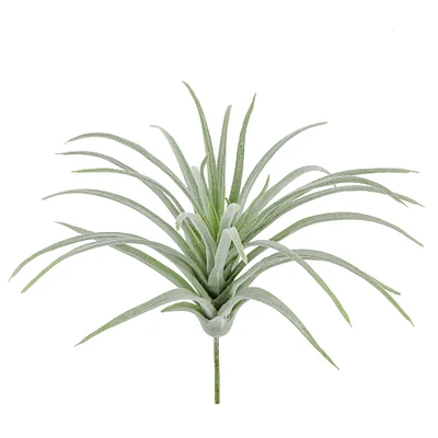 Green Tillandsia Pick by Ashland®