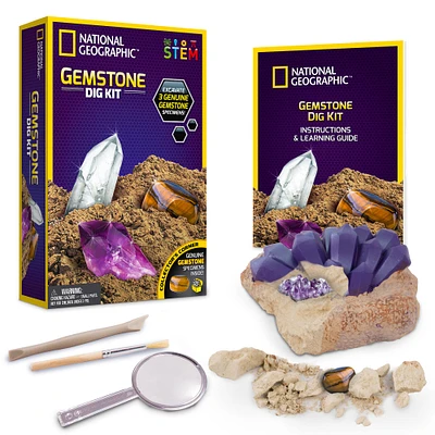 12 Pack: National Geographic™ Gemstone Dig Kit