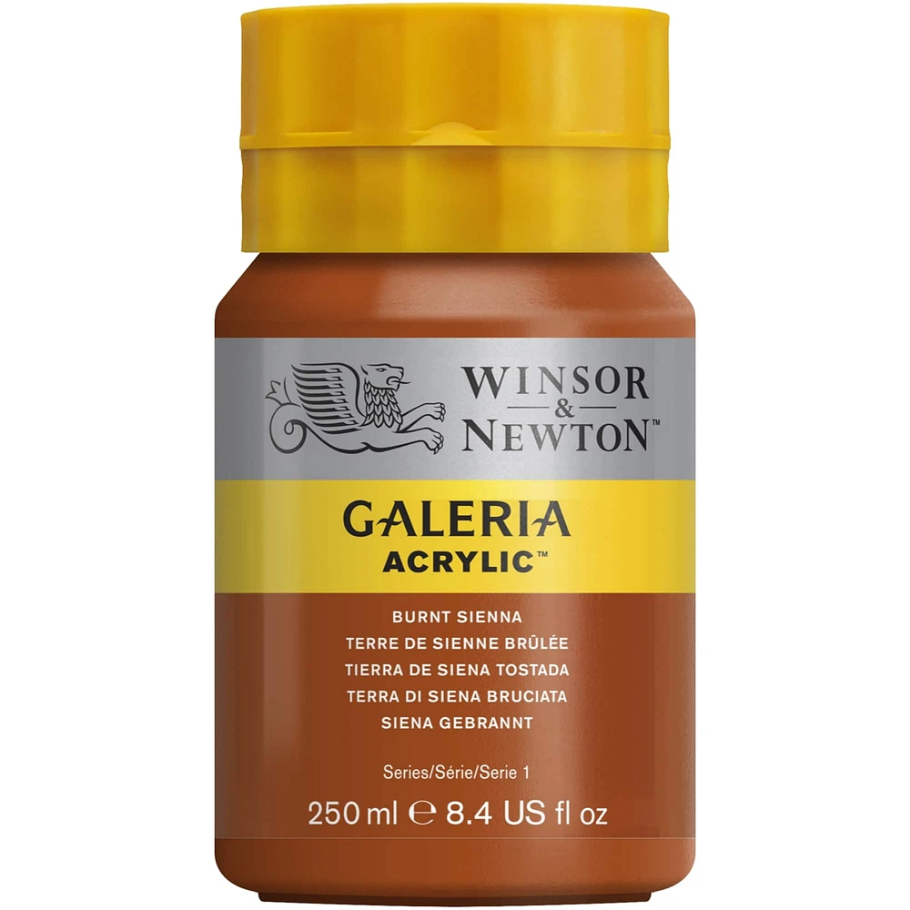 Winsor & Newton® Galeria Acrylic® Paint