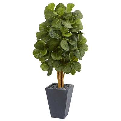 5.5ft. Fiddle Leaf Tree in Slate Planter