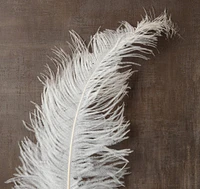 Ashland® Feather, Ostrich, Ivory