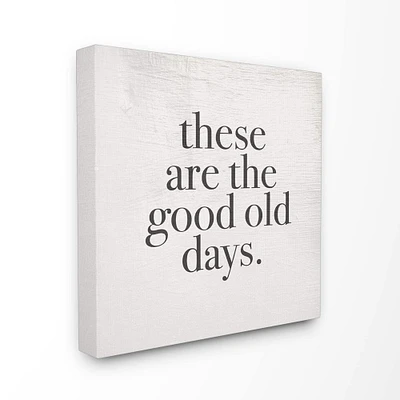 Stupell Industries These Are The Good Old Days Family Home Word Design Canvas Wall Art