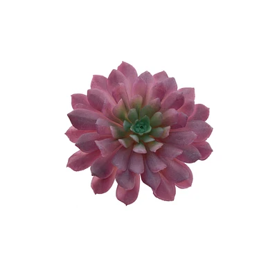Flora Bunda® Red Succulent Pick, 6ct.