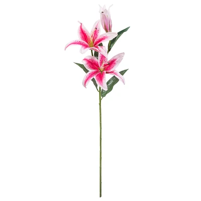 12 Pack: Hot Pink Casablanca Lily Stem by Ashland®