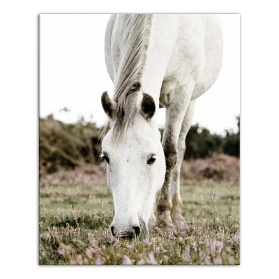 Grazing White Horse 16" x 20" Canvas Wall Art