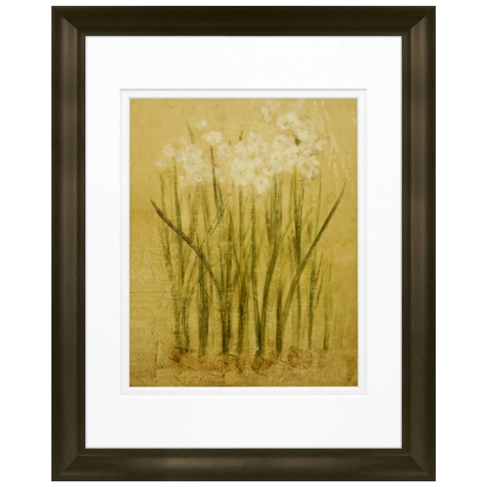 Timeless Frames® Small Narcissus Framed Print Wall Art