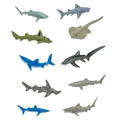 12 Pack: Safari Ltd® TOOB® Sharks Set