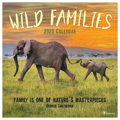TF Publishing 2023 Wild Families Wall Calendar