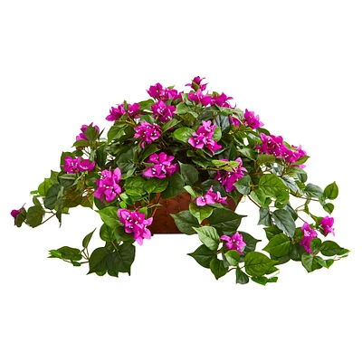 17" Purple Bougainvillea in Metal Planter