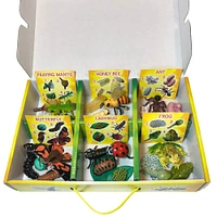 Insect Lore Life Cycle Figurine 24 Piece Set