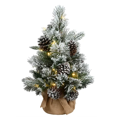 2 ft. Snowy Redmond Pine Artificial Christmas Tree, LED Lights