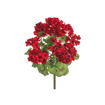 24 Pack: Red Geranium Bush