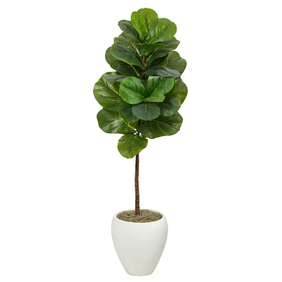 4.5ft. Fiddle Leaf Fig Tree in White Planter