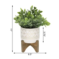 Flora Bunda® 11" Tea Plant in Geo Ceramic Footed Pot