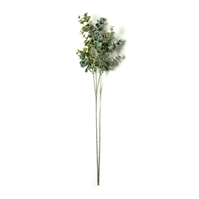 Eucalyptus Stem by Ashland®