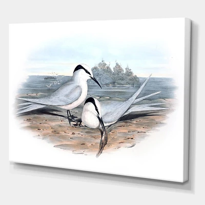 Designart - Vintage Birds In The Wild IX - Traditional Canvas Wall Art Print