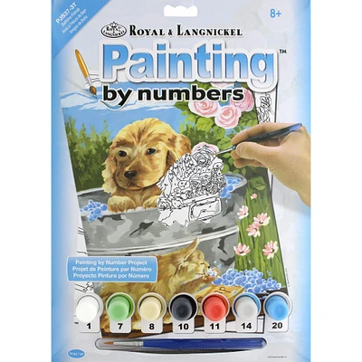 Royal & Langnickel® Bathtime Friends Painting By Number Kit