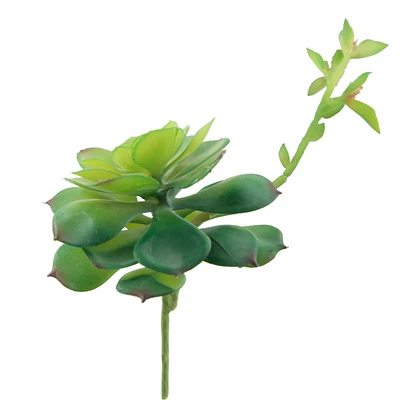 Flora Bunda® Echeveria Lola Succulent Pick