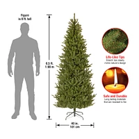 6.5ft. Unlit Natural Fraser Fir Artificial Christmas Tree