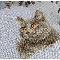 Alisa British Cat Cross Stitch Kit