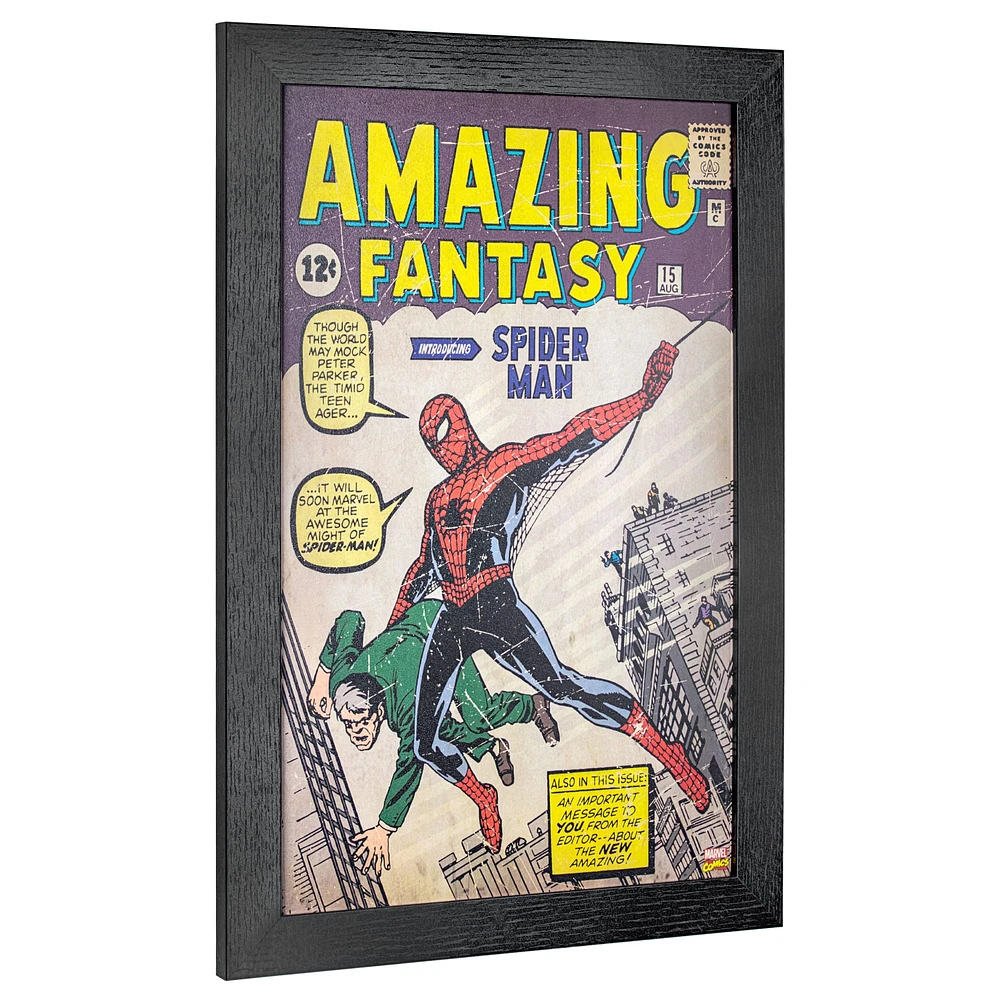 Marvel Comics Amazing Spider Man Wall Décor