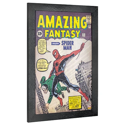 Marvel Comics Amazing Spider Man Wall Décor