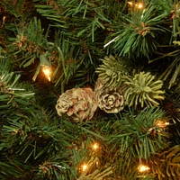 12ft. Pre-Lit Carolina Pine Artificial Christmas Tree, Clear Lights