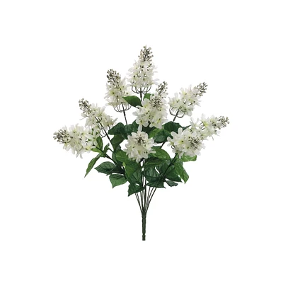 Cream & White Lilac Bush