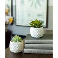 Flora Bunda® 4.5" Succulent in Pineapple Pot, 2ct.