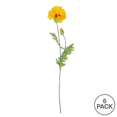 6 Pack: Yellow Poppy Stem