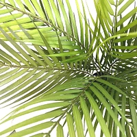 3ft. Potted Green Areca Palm Tree by Ashland®