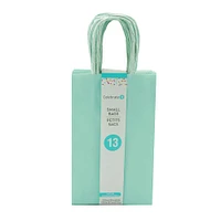 Small Mint Gift Bags by Celebrate It™, 13ct.