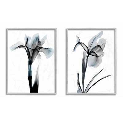 Stupell Industries Contrast Black And Blue Flower Bloom Designs in Black Frame Wall Art