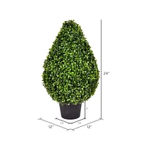 2ft. Potted Boxwood Teardrop Shaped Bush