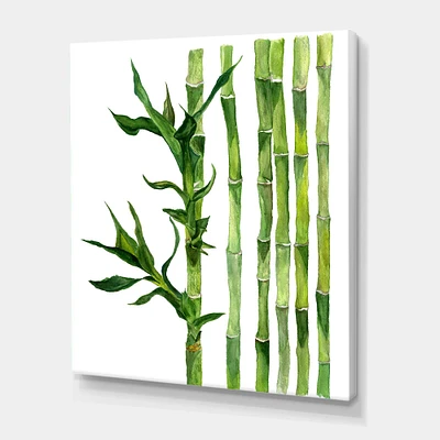 Designart - Bamboo Branches In The Forest III - Tropical Canvas Wall Art Print