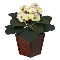 10" African Violet In Planter Set