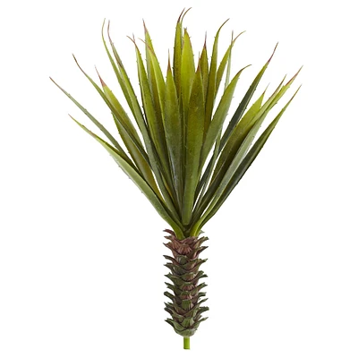 Green Spiky Agave Succulent, 2ct.