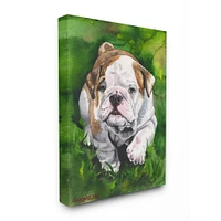 Stupell Industries English Bulldog Puppy Dog Pet Animal Watercolor Painting Canvas Wall Art