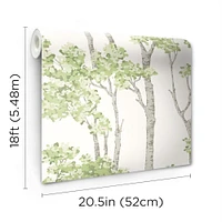 RoomMates Green & Gray Birch Grove Peel & Stick Wallpaper