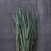 Green Magnolia Flax Grass Bundle by Ashland®