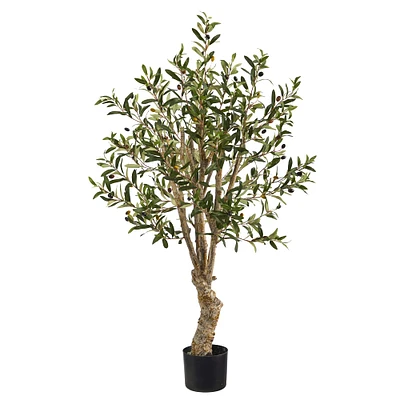 3.5ft. Potted Olive Tree