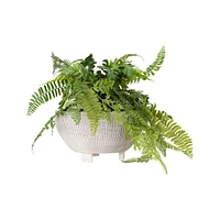 8.25" Small Distressed Cream Footed Terracotta Planter