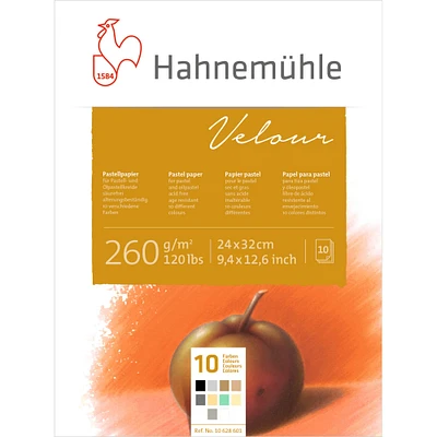 Hahnemühle Velour 10 Color Pastel Paper Pad, 9.4" x 12.6"