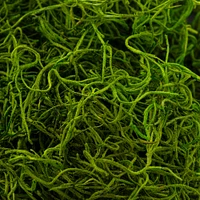 SuperMoss® Preserved Spanish Moss, Grass Green