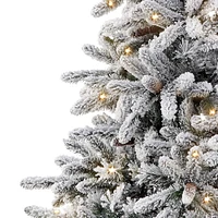 7.5ft. Pre-Lit Bennington Fir Artificial Christmas Tree, Clear Lights